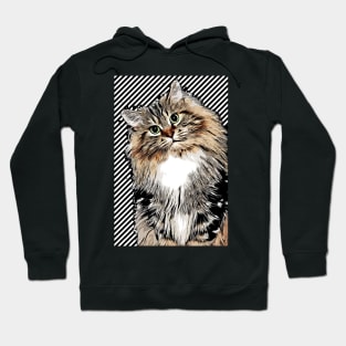 cat Hoodie